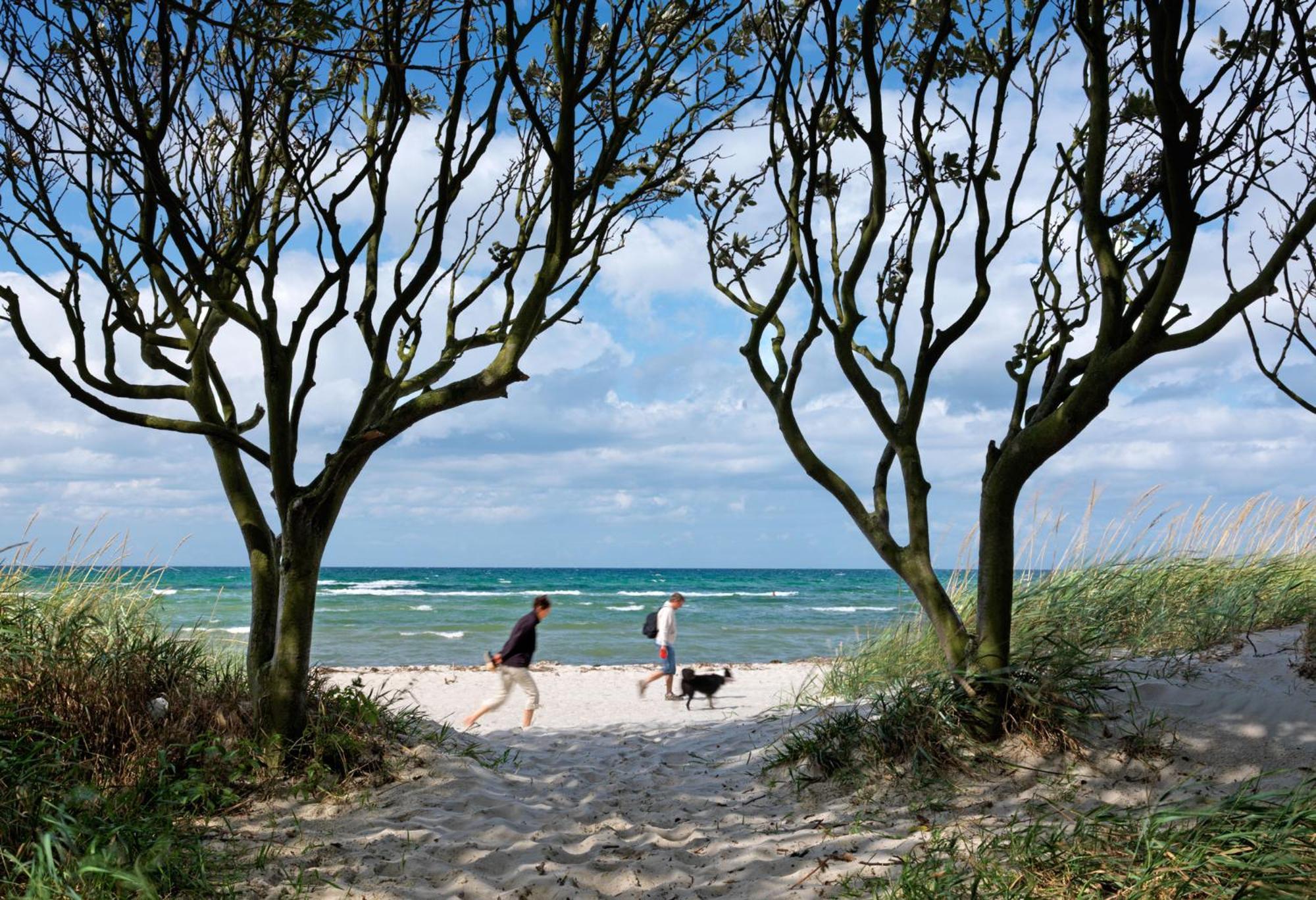 Reihenhaeuser Timmendorf Strand Haus Sonnenaufgang Insel Poel Bagian luar foto